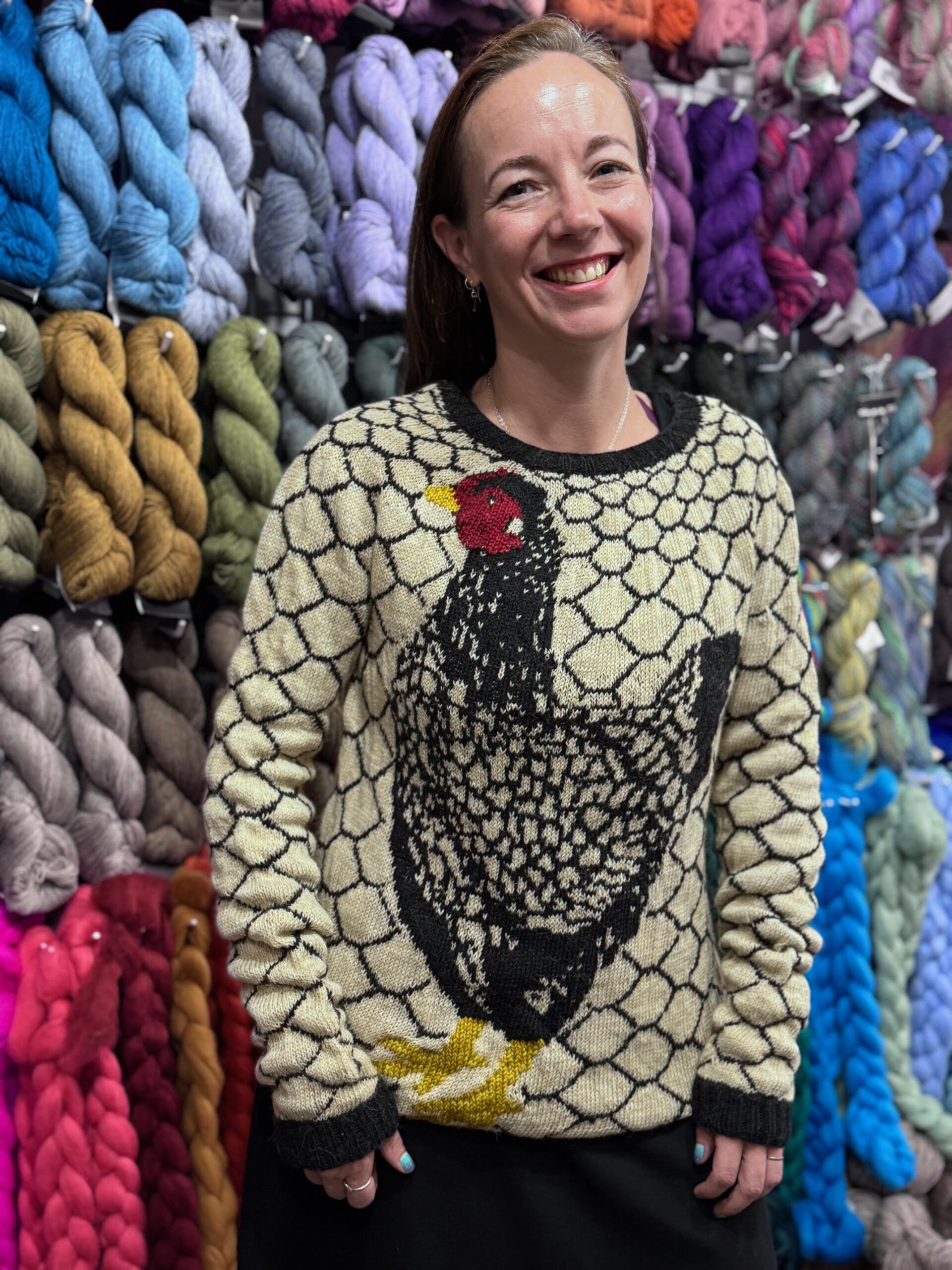 Project of the Month: Flying the Coop Sweater - Baaad Anna's Yarn Store